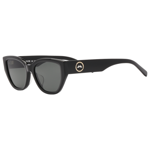 Molsion Sunglasses MS/3101/C10