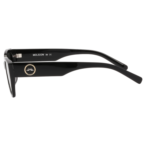 Molsion Sunglasses MS/3101/C10
