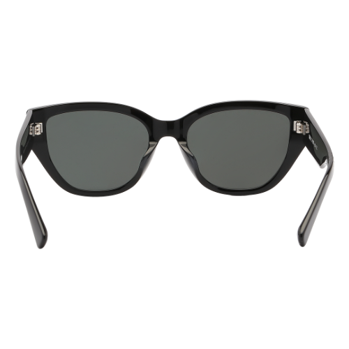 Molsion Sunglasses MS/3101/C10