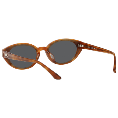 Molsion Sunglasses MS/3005/C20
