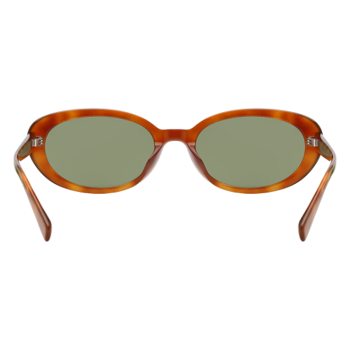 Molsion Sunglasses MM/3010/A28