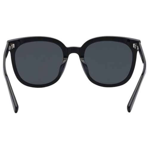 Molsion Sunglasses MS/3096/C10