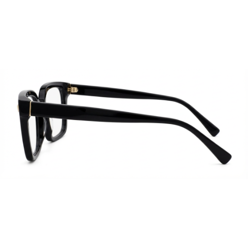 Sandro Optical SD/2079/001/53/21